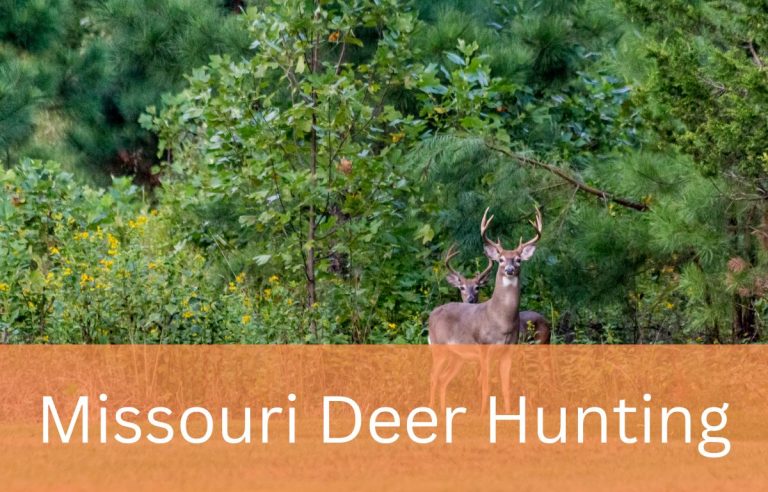Missouri Deer Season & Hunting Regulations
