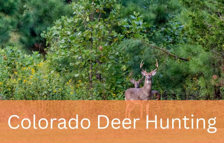 Colorado Hunting Seasons & Hunting Regulations, Bag Limits and More