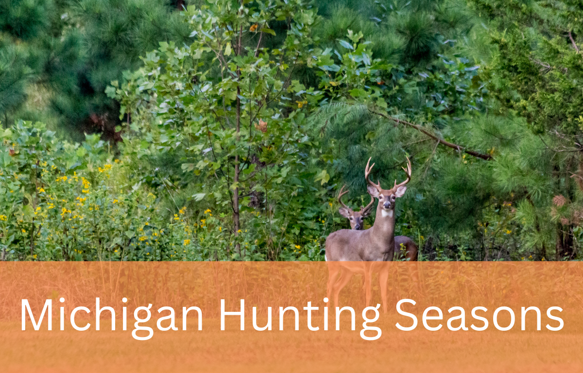 michigan hunting seasons